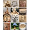 15kV Lichtenberg Wood Burning Machine Fractal Wood Burning Machine Kit
