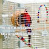 Craftsboys Basic Bird Cage, 24.8inch Parrot Cage (24.8" x 14.6"