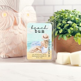 Clean Soy Blend Wax Melts Candle Decor with 50  including holiday favorite fragrances, smokeless fragrance for your home   Freshener Scented - Scent: Morning Raindrops