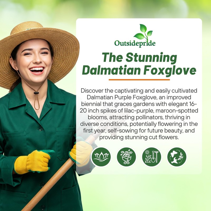 Outsidepride Digitalis Purpurea Dalmatian Purple Foxglove Seeds – 25 Pcs