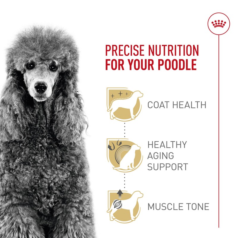 Royal Canin Poodle Adult Breed Specific Dry Dog Food, 2.5