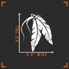 Native Feathers Decal Vinyl Sticker Auto Car Truck Wall Laptop