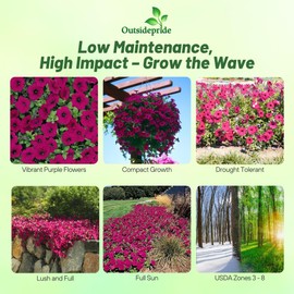 Outsidepride 15 Seeds Annual Spreading Purple Classic Wave Petunia Garden Flower Seeds for Planting