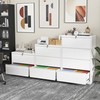 INTERGREAT Lateral File Cabinet 2 Drawer, Metal 2 Drawer Filing