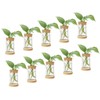 PATIKIL 0.24 x 4.33 Inch Plant Propagation Station, 30 Pcs