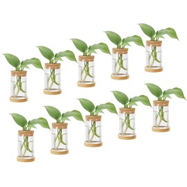 PATIKIL 0.24 x 4.33 Inch Plant Propagation Station, 30 Pcs Plant Terrarium Vases for Home Decoration Garden Gardening Indoor Housewarming Gifts for Plant Lovers Women, Transparent