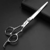 6/7 Inch Hair Scissors Hairdressing Salon Scissors 440c Hardness Stainless