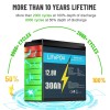 Litime 12V 30Ah LiFePO4 Lithium Battery 30A BMS Deep Cycles