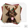 Ruby Ashley Charity Christmas Cards - Pack of 30 Xmas