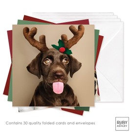 Ruby Ashley Charity Christmas Cards - Pack of 30 Xmas Cards. Quality Funny & Cute Dog Christmas Cards Multipack Made in the UK. Recyclable Boxed Christmas Cards & Envelopes