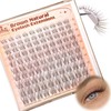 Brown Lash Clusters Natural Eyelash Clusters Wispy Individual Lash Extensions