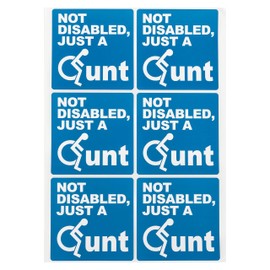 DM Novelties Not Disabled Just A Bad Parking Space Bay Bumper Sticker Parking Violation Stickers (12 Stickers)