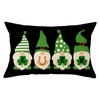 Ogiselestyle St Patricks Day Luck Gnomes Throw Pillow Cover, 12