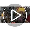 KUPETO Gnomos Navideño con Luz LED, 5 Piezas Adornos navideños