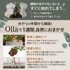 [Global Box] Potted Plants Watering Pottery Unglazed Watering Plants Plants