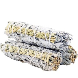 White Sage and Sweetgrass Smudge Stick - 4"