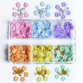 Wambere 1 Box of 6 Grids 3D Flower Pearl Nail Art Charms Acrylic Flower Nail Art Rhinestones Nails Accessories Beautiful and Charming, Small and Delicate, Suitable for Nails, Crafts, Mixed Colour C