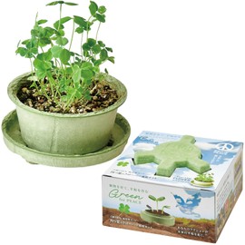 Seishin Ceramics GD-103601 All Year Round Home Garden Cultivation Kit, 4 Leaf Clover, Mini, Easy, Loose Growing, Flower Cultivation Set (Free Research), Mother's Day, Birthday, Present, Pot Diameter