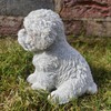 Vivid Arts Pet Pals Bichon Frise Puppy PP-BCHN-F