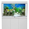 AWERT 48x18 inches Aquarium Background Aquatic Plant River Bed &