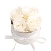 Rosmarie Schulz Heidelberg Rose Box, White Round Infinity Rose, Flower