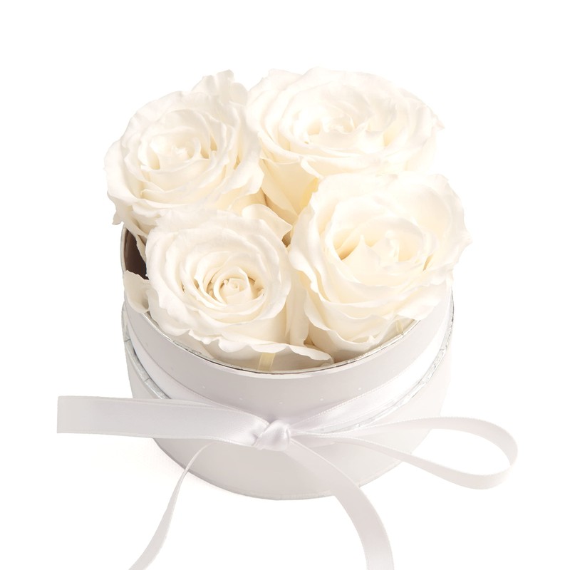 Rosmarie Schulz Heidelberg Rose Box, White Round Infinity Rose, Flower