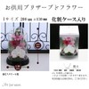 Art Four Seasons Phalaenopsis Denfare Dome Versus Design SET Pink