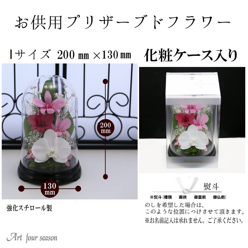 Art Four Seasons Phalaenopsis Denfare Dome Versus Design SET Pink