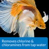 API BETTA WATER CONDITIONER Betta Fish Freshwater Aquarium Water Conditioner