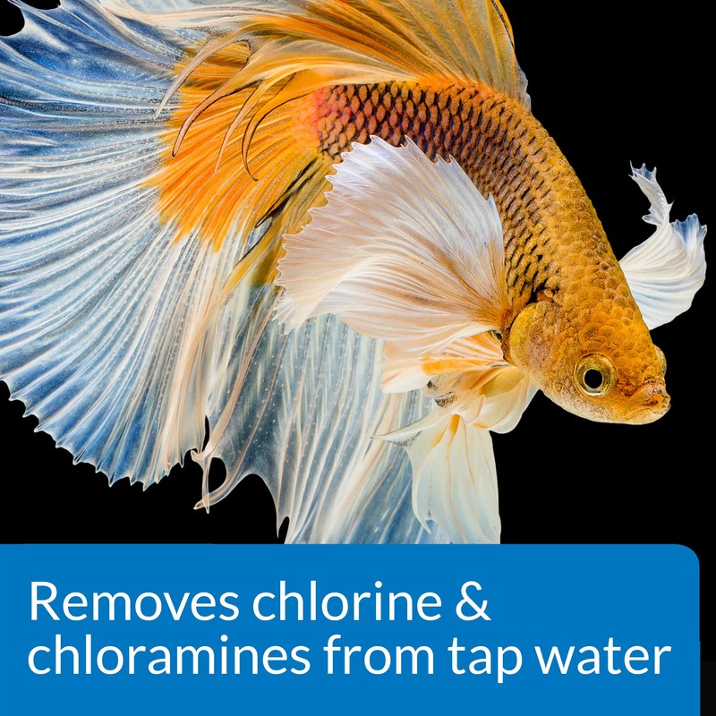 API BETTA WATER CONDITIONER Betta Fish Freshwater Aquarium Water Conditioner
