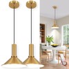 Battery Operated Pendant Lights 2 Pack,Rechargeable Pendant Light with Remote,Gold