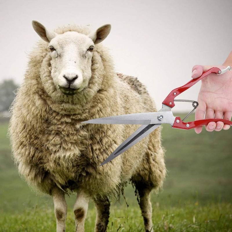 Haofy Manual Sheep Shearing, Goat and Sheep Wool Trimmers Stainless