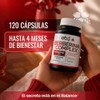 OBY Berberina HCL Pura 500 mg con Cúrcuma 120 cápsulas