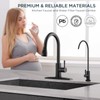 FORIOUS Kitchen Faucet and Water Filter Faucet Combo, Black Stainless