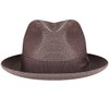 Bailey 1922 Craig Braided Fedora - Java Bean/M