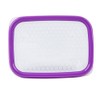 Décor Match-Ups Basics Oblong Storer, Purple, 500 ml Capacity, (Pack