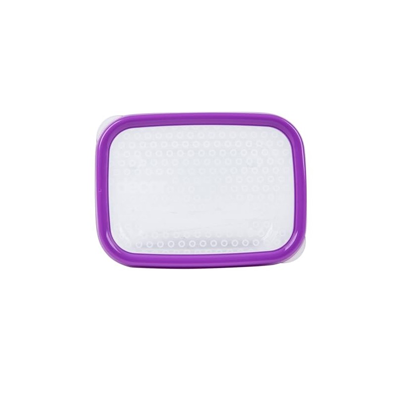 Décor Match-Ups Basics Oblong Storer, Purple, 500 ml Capacity, (Pack