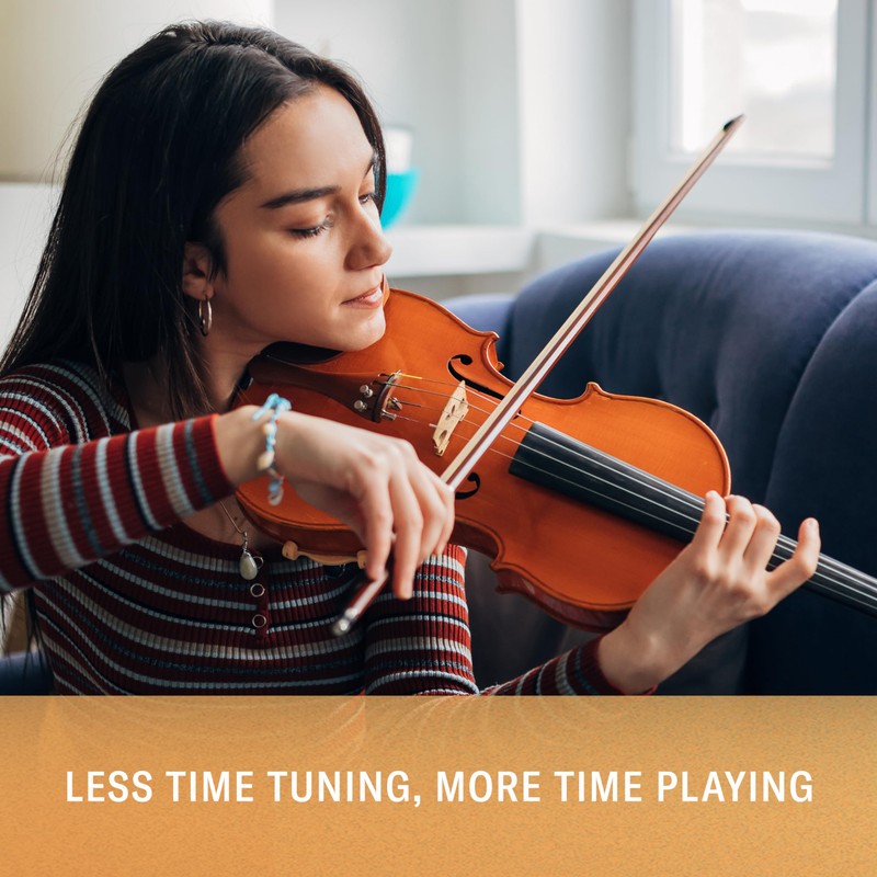 D'Addario Ascente A312 Violin Rose Strings A312 1/8M Medium Tension