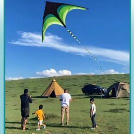 EWCEFIC Beginner Triangle Grass Beach Kite, Suitable for Children Aged 4-8, 8-12 Years Old and Adults, Equipped with a 984-foot line Wheel and 2 Children's Hand-Thrown Parachutes, a Good
