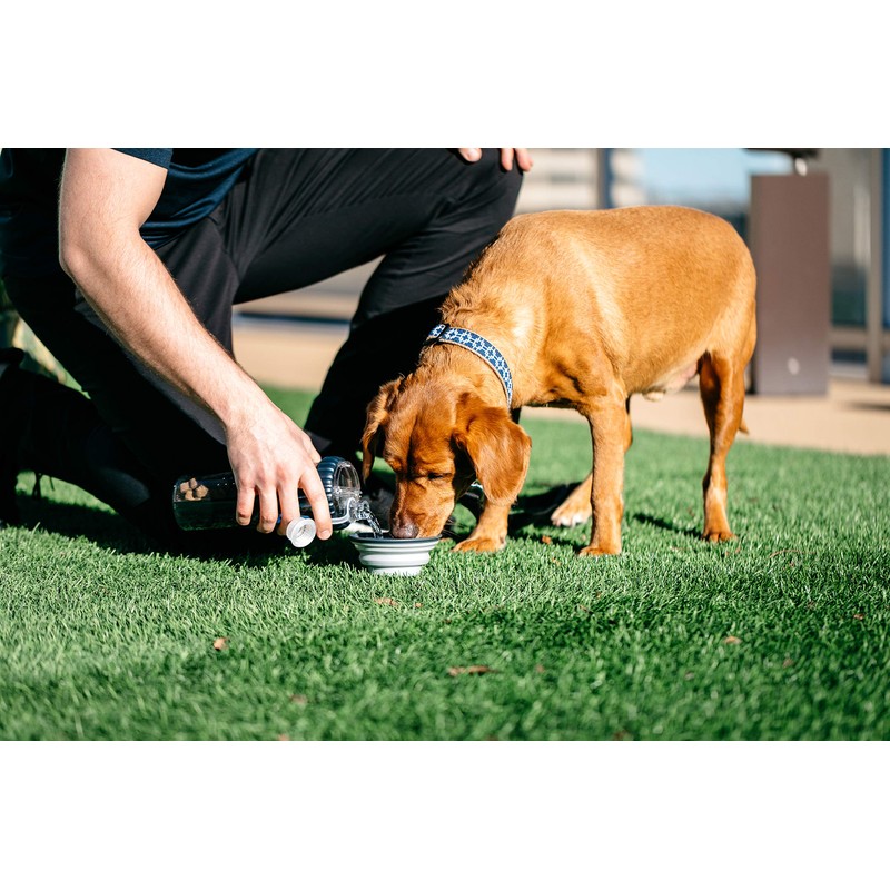 Dexas Popware for Pets Snack Duo Dual Chambered Hydration Bottle