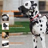 Seyezo Dog Muzzle, Soft Breathable Muzzle for Small Medium Large