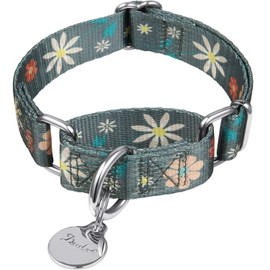 Dazzber Martingale Collars for Dogs, Adjustable, Heavy-Duty, Soft, Smooth, Easy Dog Walking, for Large/Small Dogs