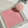 3pcs Cosmetics Mini Single Color Powder Matte Blush Glitter Pearly
