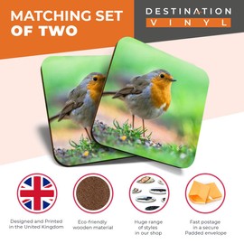 Great Coasters (Set of 2) Square/Glossy Quality Coasters/Tabletop Protection for Any Table Type - Garden Robin Bird Birds Christmas #15509