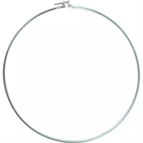 OER 10004184 1976-79 Firebird Shaker Scoop Retainer Ring