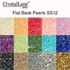 1850pcs SS12 (3mm) Crystal Lane DIY Brown AB Plastic Flatback