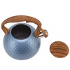 3 Liter Whistling Tea Kettle Stainless Steel Teapot with Handle