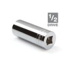 TEKTON 1/2 Inch Drive x 13/16 Inch Deep 12-Point Socket