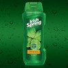 Irish Spring Body Wash, Original, 18 Fluid Ounce (Pack of
