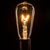 Hometown Evolution, Inc. Vintage Edison Outdoor String Lights (ST40 Clear